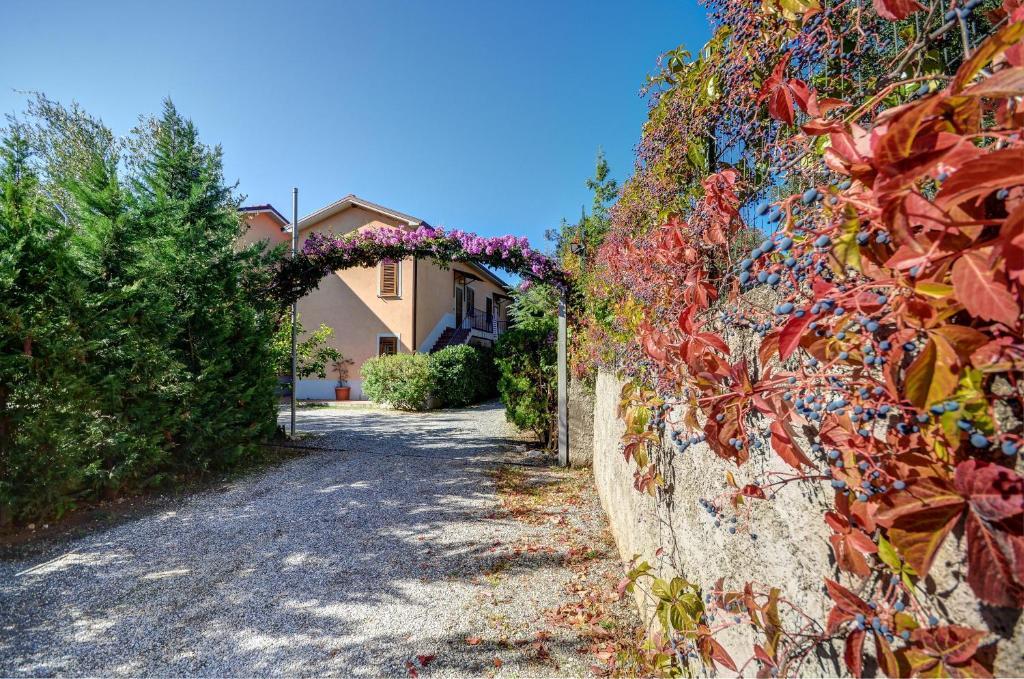 Residence Villa Andrea Marina di Camerota Exterior foto